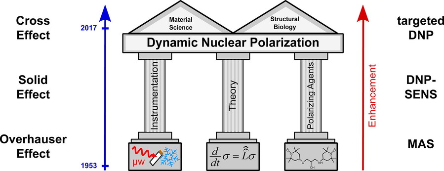 Graphic representation of dynamic nuclear polarization.